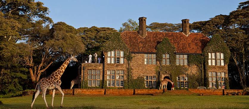 Giraffe Centre & Karen Blixen