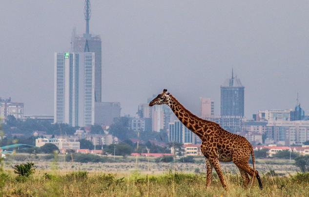 Nairobi National Park