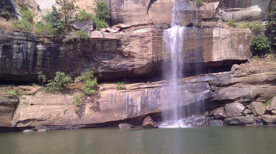 Shimba Hills Day Safari