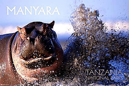 4 Days Tarangire, Manyara & Ngorongoro safari image 3