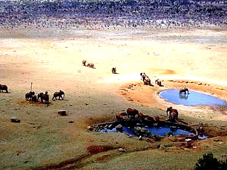 2 Days Tsavo East & Salt Lick Safari