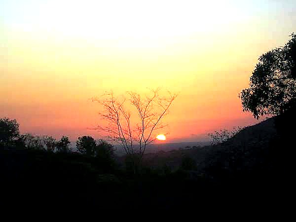 2 Days Tsavo East Safari safari image 2