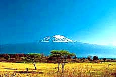 2 Days Tsavo East & Tsavo West safari image 3