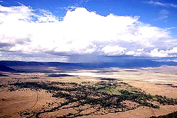 5 Days Tanzania Classic Safari safari image 2