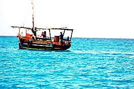 Zanzibar ocean experience