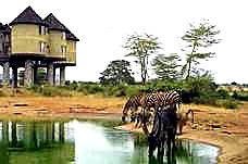 2 Days Tsavo East & Salt Lick Safari safari image 3