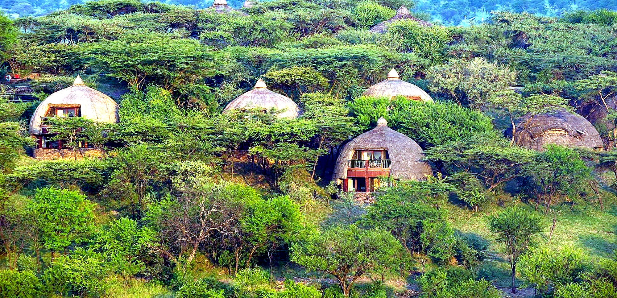 Tanzania safari
