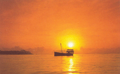 Zanzibar sunset