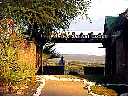 7 Days Tanzania Northern Circuit safari image 3